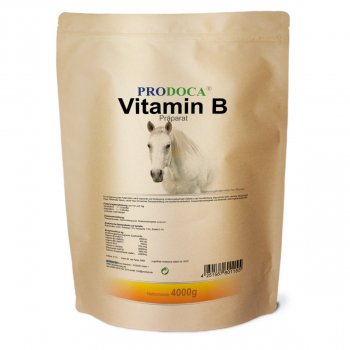 Vitamin B-Präparat, 4000g